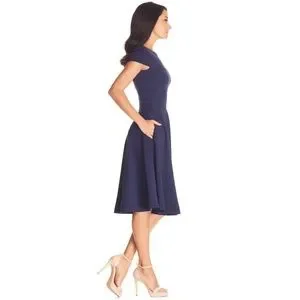Dress the Population | Dresses | Dress The Population Livia Fit Flare Dress  Nwt | Poshmark
